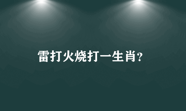 雷打火烧打一生肖？