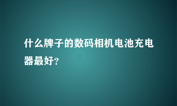 什么牌子的数码相机电池充电器最好？