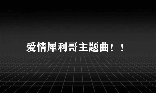 爱情犀利哥主题曲！！