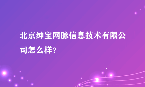 北京绅宝网脉信息技术有限公司怎么样？