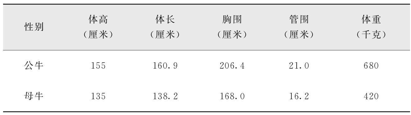 我国有哪些黄牛品种？特点是什么？