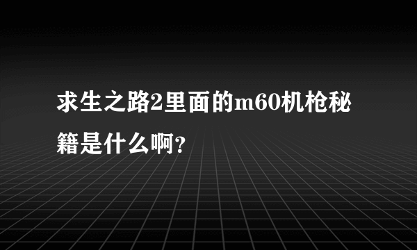 求生之路2里面的m60机枪秘籍是什么啊？