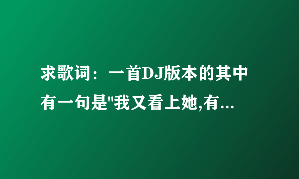 求歌词：一首DJ版本的其中有一句是