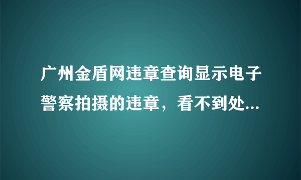 广州金盾网违章查询显示电子警察拍摄的违章，看不到处罚多少钱，也没有确认，如何可以查到处罚多少钱？