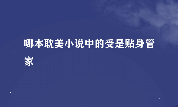 哪本耽美小说中的受是贴身管家