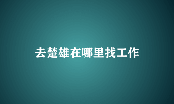 去楚雄在哪里找工作