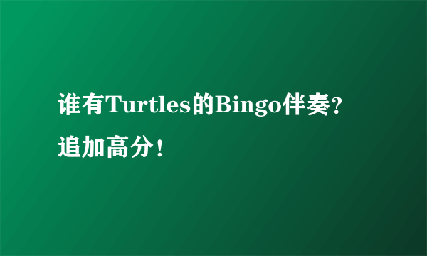 谁有Turtles的Bingo伴奏？追加高分！