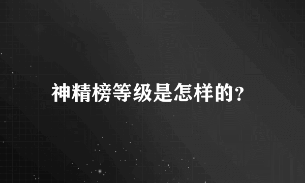 神精榜等级是怎样的？