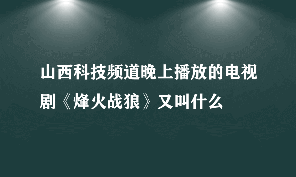 山西科技频道晚上播放的电视剧《烽火战狼》又叫什么