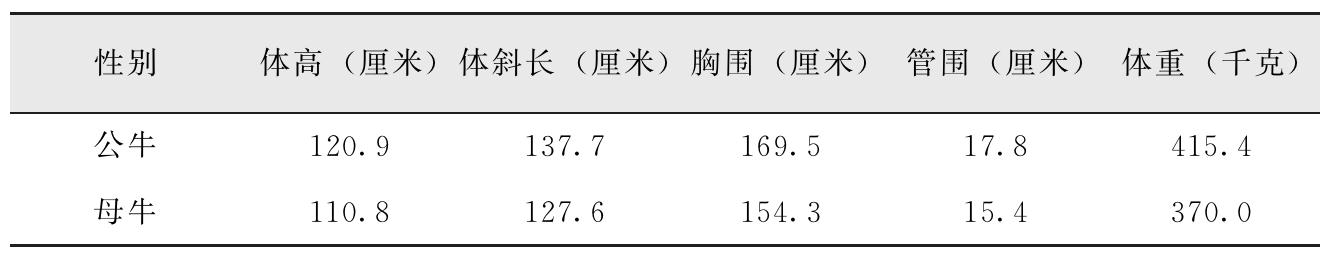 我国有哪些黄牛品种？特点是什么？