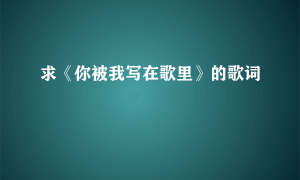 求《你被我写在歌里》的歌词