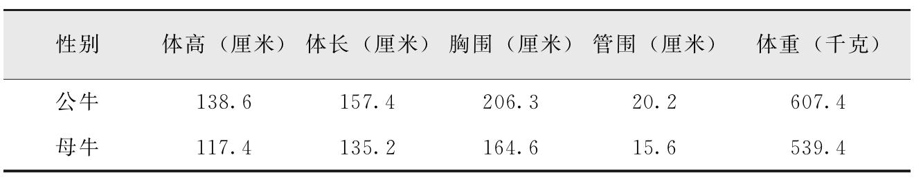 我国有哪些黄牛品种？特点是什么？