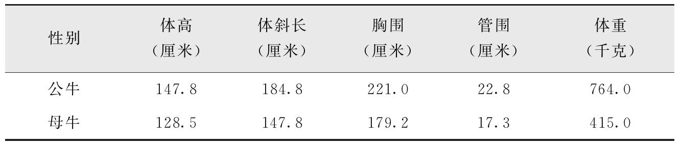 我国有哪些黄牛品种？特点是什么？