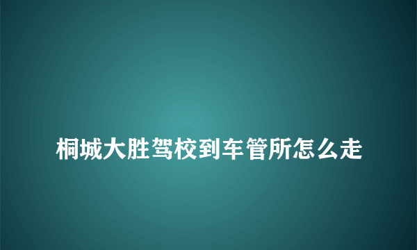 
桐城大胜驾校到车管所怎么走

