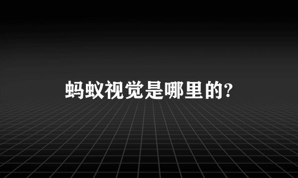 蚂蚁视觉是哪里的?