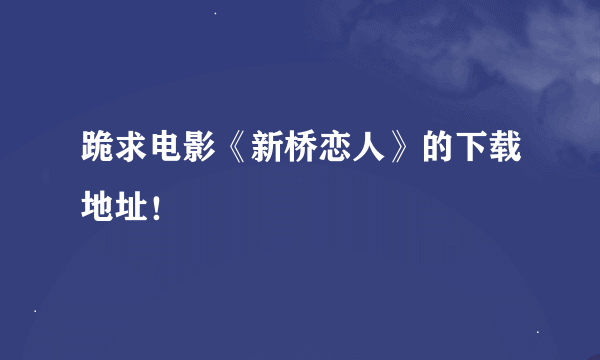 跪求电影《新桥恋人》的下载地址！