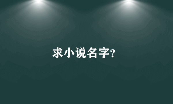 求小说名字？