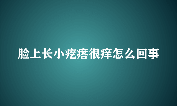 脸上长小疙瘩很痒怎么回事