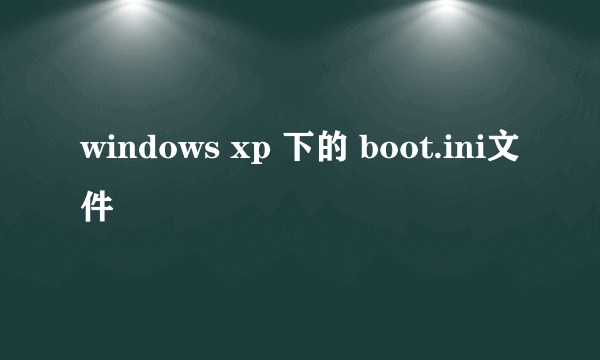 windows xp 下的 boot.ini文件