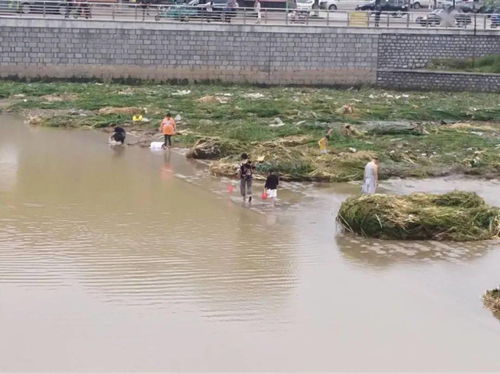 广西暴雨涨水后男子路上捞鱼！这一举动可能会带来哪些风险？