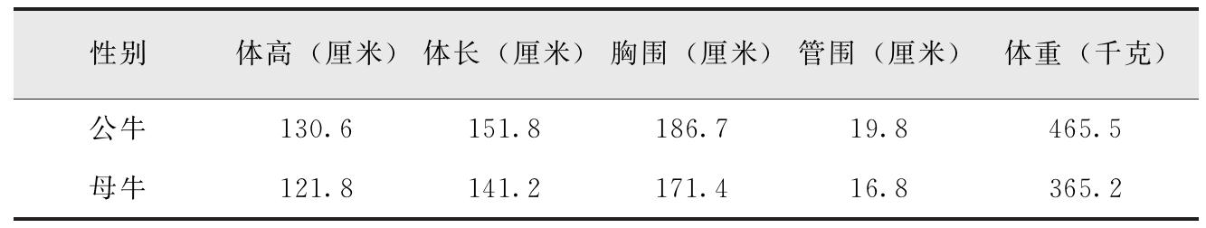 我国有哪些黄牛品种？特点是什么？