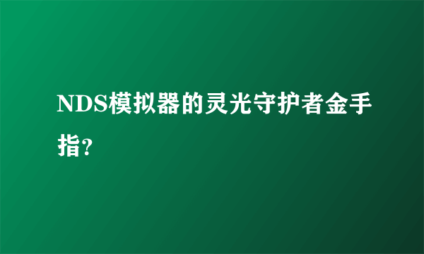 NDS模拟器的灵光守护者金手指？