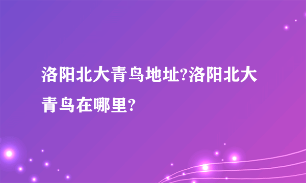 洛阳北大青鸟地址?洛阳北大青鸟在哪里?