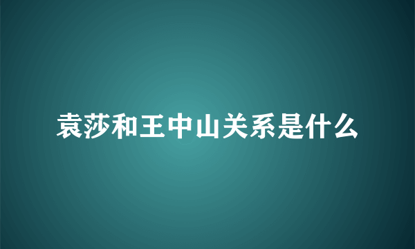 袁莎和王中山关系是什么