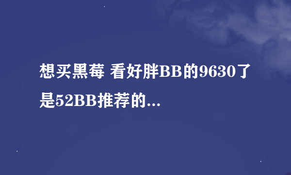 想买黑莓 看好胖BB的9630了 是52BB推荐的商家 他家信用怎么样 机器怎么样