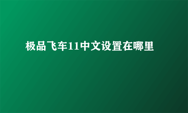 极品飞车11中文设置在哪里