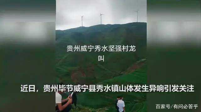 贵州深山“龙吟”真相竟是鸟在叫，那么黄脚三趾鹑到底是啥鸟？