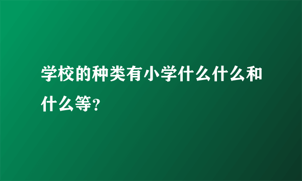 学校的种类有小学什么什么和什么等？