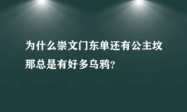 为什么崇文门东单还有公主坟那总是有好多乌鸦？