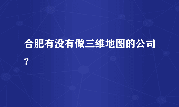 合肥有没有做三维地图的公司?