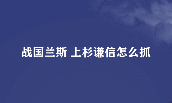 战国兰斯 上杉谦信怎么抓