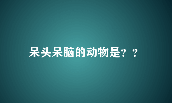 呆头呆脑的动物是？？