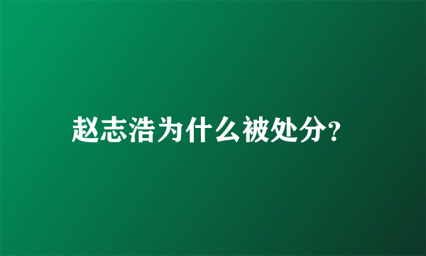 赵志浩为什么被处分？