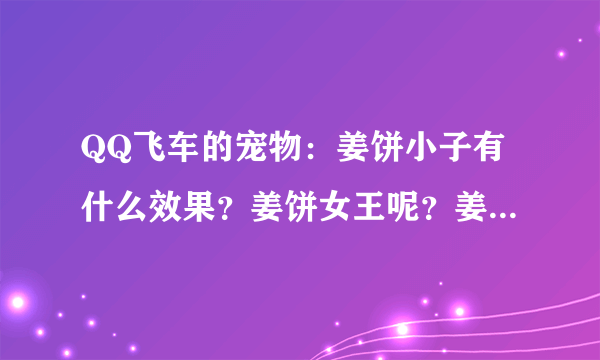 QQ飞车的宠物：姜饼小子有什么效果？姜饼女王呢？姜饼女王是什么样子？