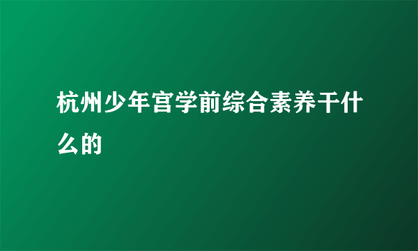 杭州少年宫学前综合素养干什么的