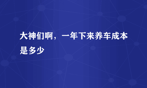 大神们啊，一年下来养车成本是多少