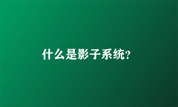 什么是影子系统？