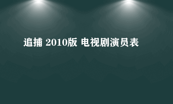 追捕 2010版 电视剧演员表