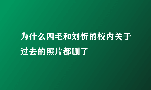 为什么四毛和刘忻的校内关于过去的照片都删了