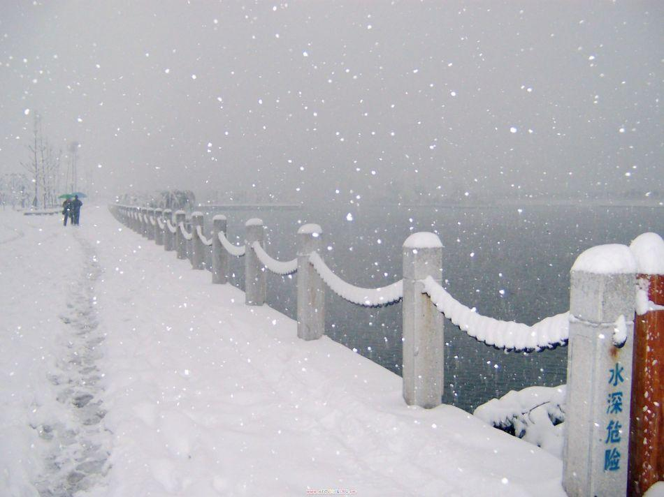 山西发布暴雪红色预警，当地哪些地区的暴风雪最为严重？