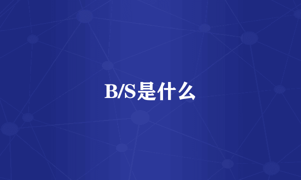 B/S是什么