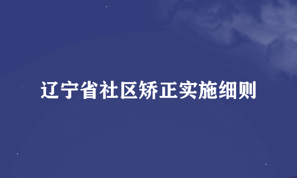 辽宁省社区矫正实施细则