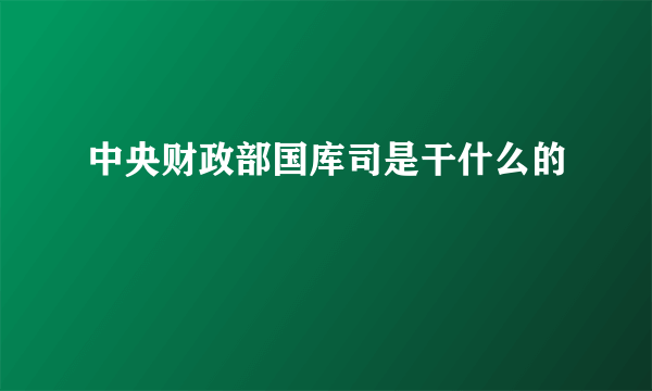 中央财政部国库司是干什么的