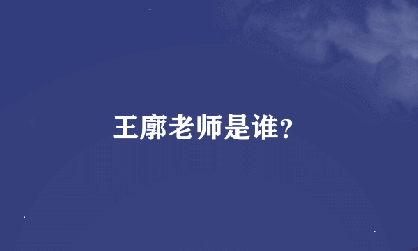 王廓老师是谁？