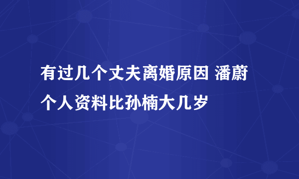 有过几个丈夫离婚原因 潘蔚个人资料比孙楠大几岁