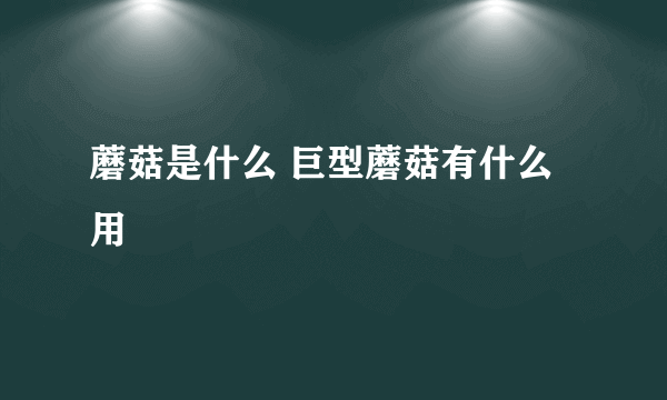 蘑菇是什么 巨型蘑菇有什么用